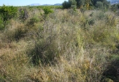 Terreny no urbanitzable en venda a la España, Orba, ref.: TR112847 foto