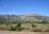 Terreny no urbanitzable en venda a la España, Orba, ref.: TR112847 foto