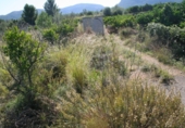 Terreny no urbanitzable en venda a la España, Orba, ref.: TR112847 foto