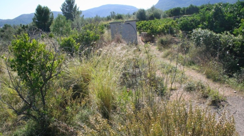 Alicante - Orba - 25762m2