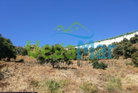 Almuñécar 15400&nbsp;м²