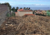 Parcela urbanizable en venta en la España, La Orotava, ref: TR114501 foto