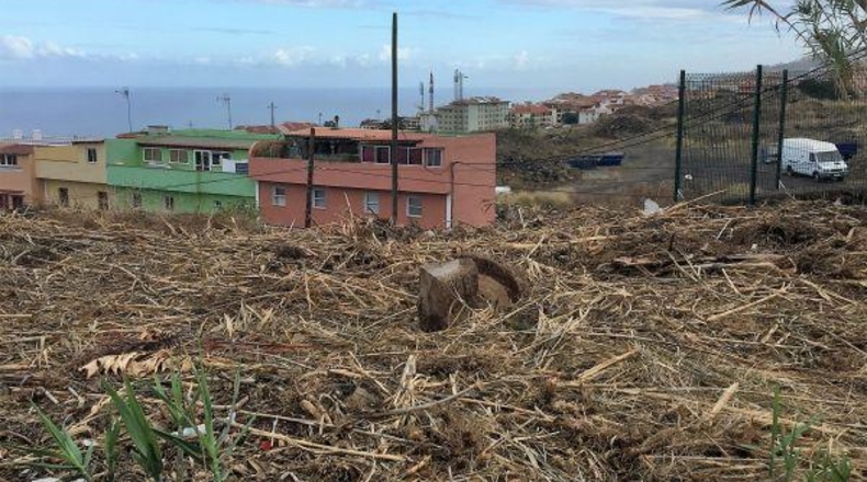 Santa Cruz de Tenerife - La Orotava - 937m2