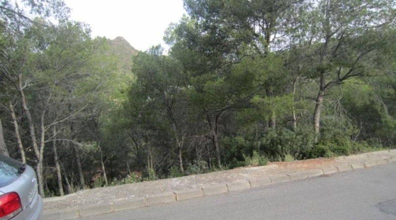 Castellón - Benicasim - 930m2