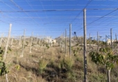 Detached villa with land for sale on España, Motril, ref: TR144501 photo