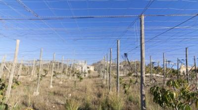 Granada - Motril - 5299m2