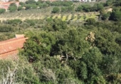Non-developable land for sale on España, Roses, ref: TR121879 photo