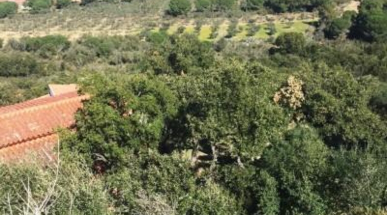 Gerona - Roses - 520m2