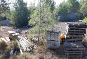 Foto 12