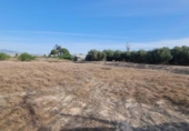 Terreny no urbanitzable en venda a la España, Molina de Segura, ref.: TR122760 foto