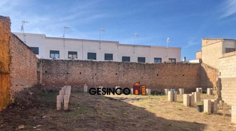 València - el Genovés - 585m2