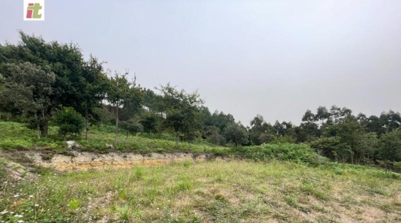 Biscaia - Gorliz - 65000m2