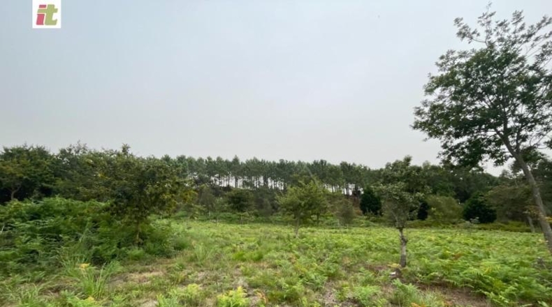 Biscaia - Gorliz - 65000m2