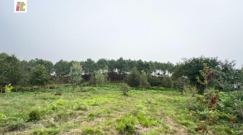 Biscaia - Gorliz - 65000m2