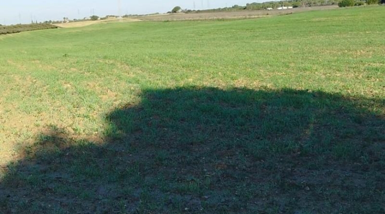 Cádiz - Puerto Real - 31304m2