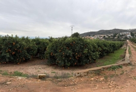 Xiva 33000&nbsp;m² 