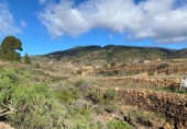 Non-developable land for sale on España, Granadilla de Abona, ref: TR377321 photo