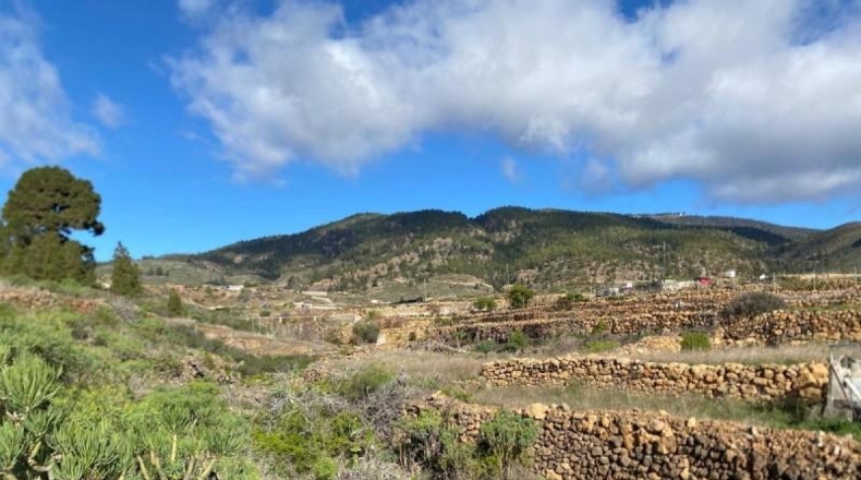 Santa Cruz de Tenerife - Granadilla de Abona - 8970m2