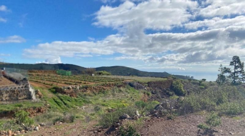 Santa Cruz de Tenerife - Granadilla de Abona - 8970m2