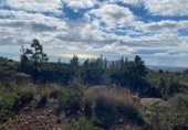 Non-developable land for sale on España, Granadilla de Abona, ref: TR377321 photo