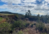 Non-developable land for sale on España, Granadilla de Abona, ref: TR377321 photo