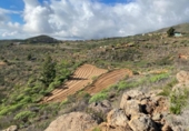 Non-developable land for sale on España, Granadilla de Abona, ref: TR377321 photo