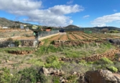 Non-developable land for sale on España, Granadilla de Abona, ref: TR377321 photo