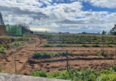 Non-developable land for sale on España, Granadilla de Abona, ref: TR377321 photo