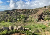 Non-developable land for sale on España, Granadilla de Abona, ref: TR377321 photo