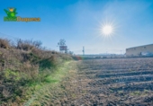 Detached villa with land for sale on España, Granada, ref: TR377231 photo