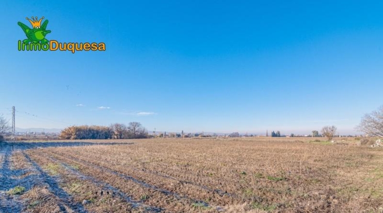 Granada - Granada - 8395m2