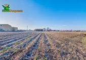 Detached villa with land for sale on España, Granada, ref: TR377231 photo