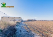 Detached villa with land for sale on España, Granada, ref: TR377231 photo