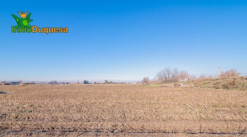 Granada - Granada - 8395m2