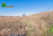 Detached villa with land for sale on España, Granada, ref: TR377231 photo
