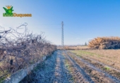 Detached villa with land for sale on España, Granada, ref: TR377231 photo