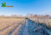Detached villa with land for sale on España, Granada, ref: TR377231 photo