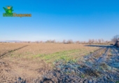 Detached villa with land for sale on España, Granada, ref: TR377231 photo