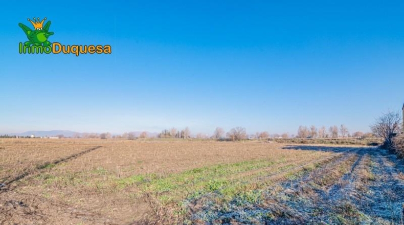 Granada - Granada - 8395m2