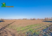 Detached villa with land for sale on España, Granada, ref: TR377231 photo