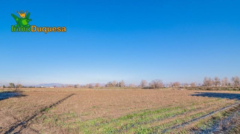 Granada - Granada - 8395m2