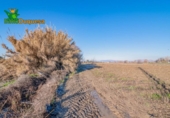 Detached villa with land for sale on España, Granada, ref: TR377231 photo
