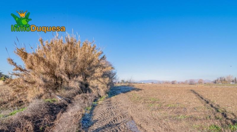 Granada - Granada - 8395m2