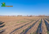 Detached villa with land for sale on España, Granada, ref: TR377231 photo