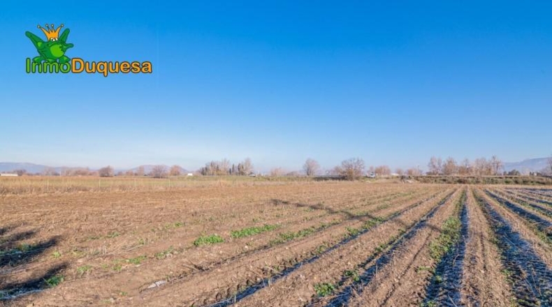 Granada - Granada - 8395m2