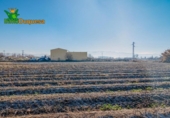 Detached villa with land for sale on España, Granada, ref: TR377231 photo