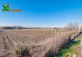 Detached villa with land for sale on España, Granada, ref: TR377231 photo