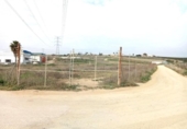 Земля на продажу у города Villaverde del Río Фото