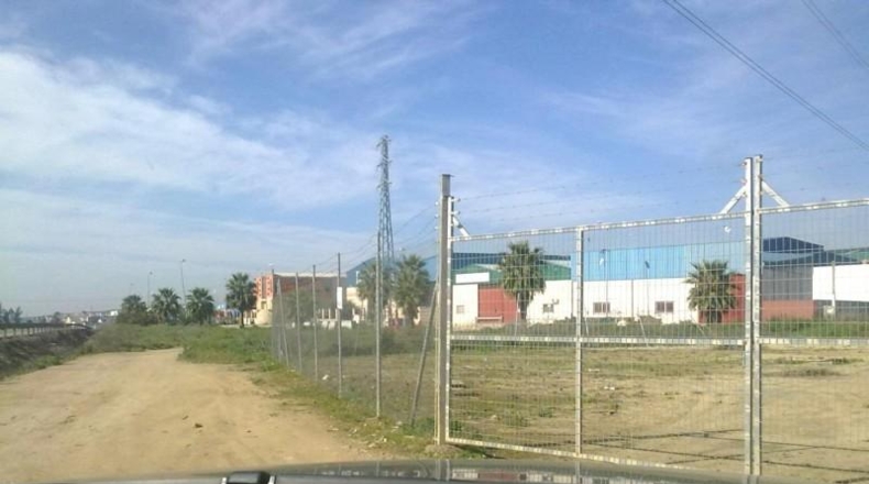 Seville - Villaverde del Río - 5500m2
