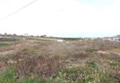 Земля на продажу у города Villaverde del Río Фото